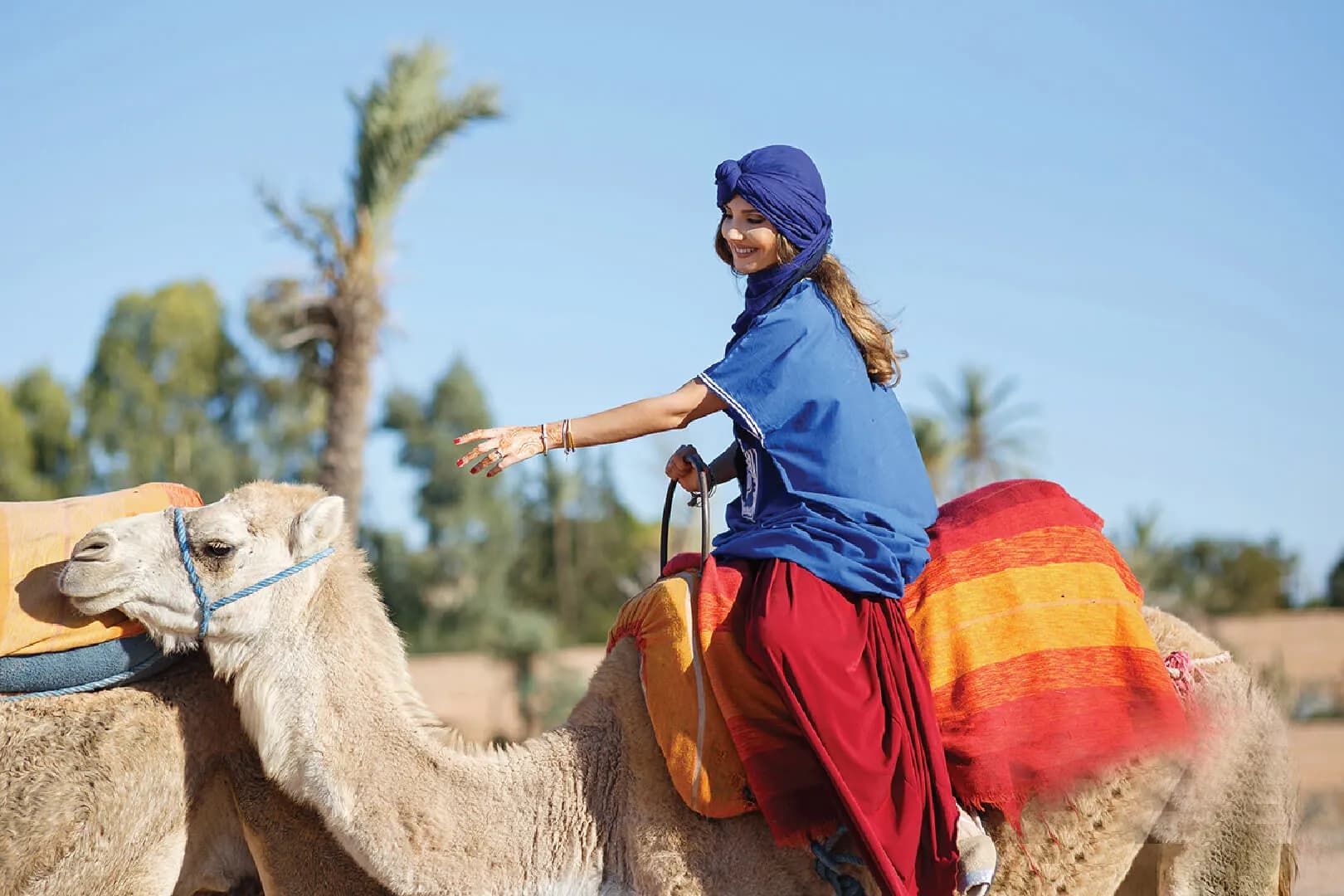 Agadir Camel Ride: Sunset Trek, Flamingo River & Mint Tea thumbnail 2