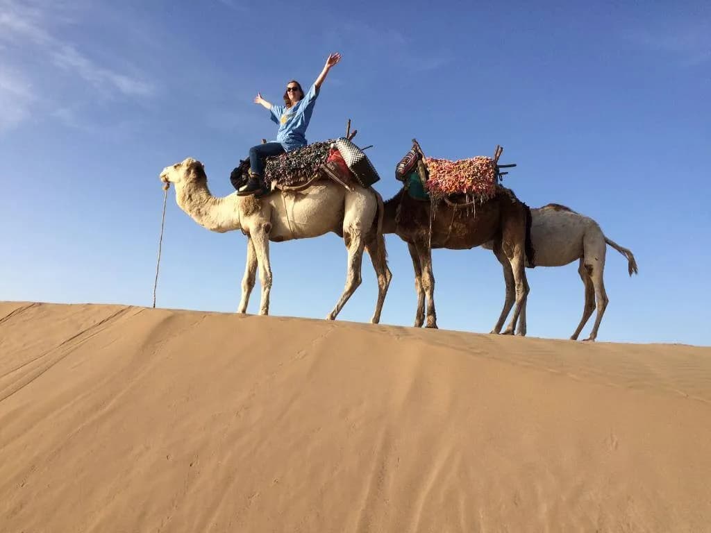 Agadir Camel Ride: Sunset Trek, Flamingo River & Mint Tea thumbnail 3