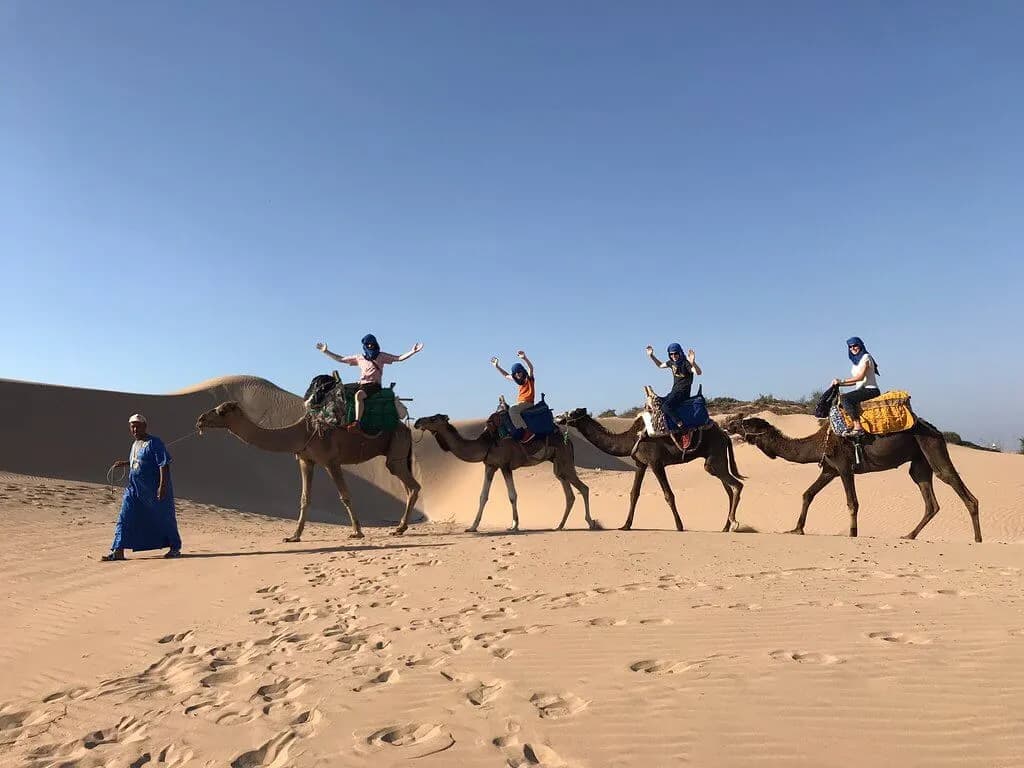 Agadir Camel Ride: Sunset Trek, Flamingo River & Mint Tea thumbnail 5