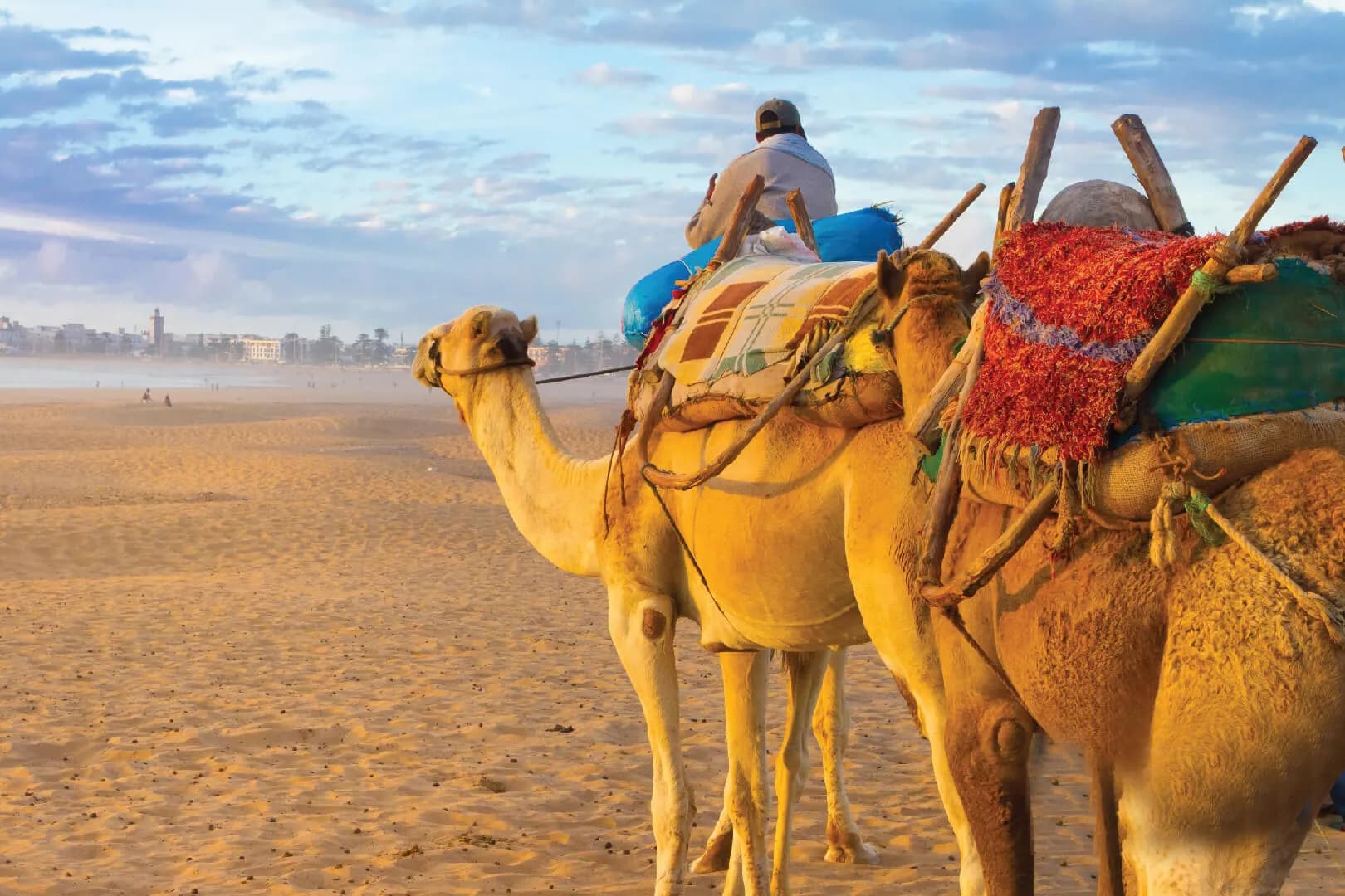 Agadir Camel Ride: Sunset Trek, Flamingo River & Mint Tea thumbnail 8