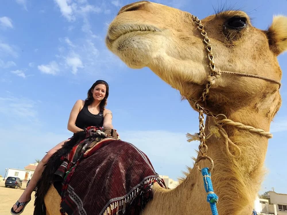 Agadir Camel Ride: Sunset Trek, Flamingo River & Mint Tea