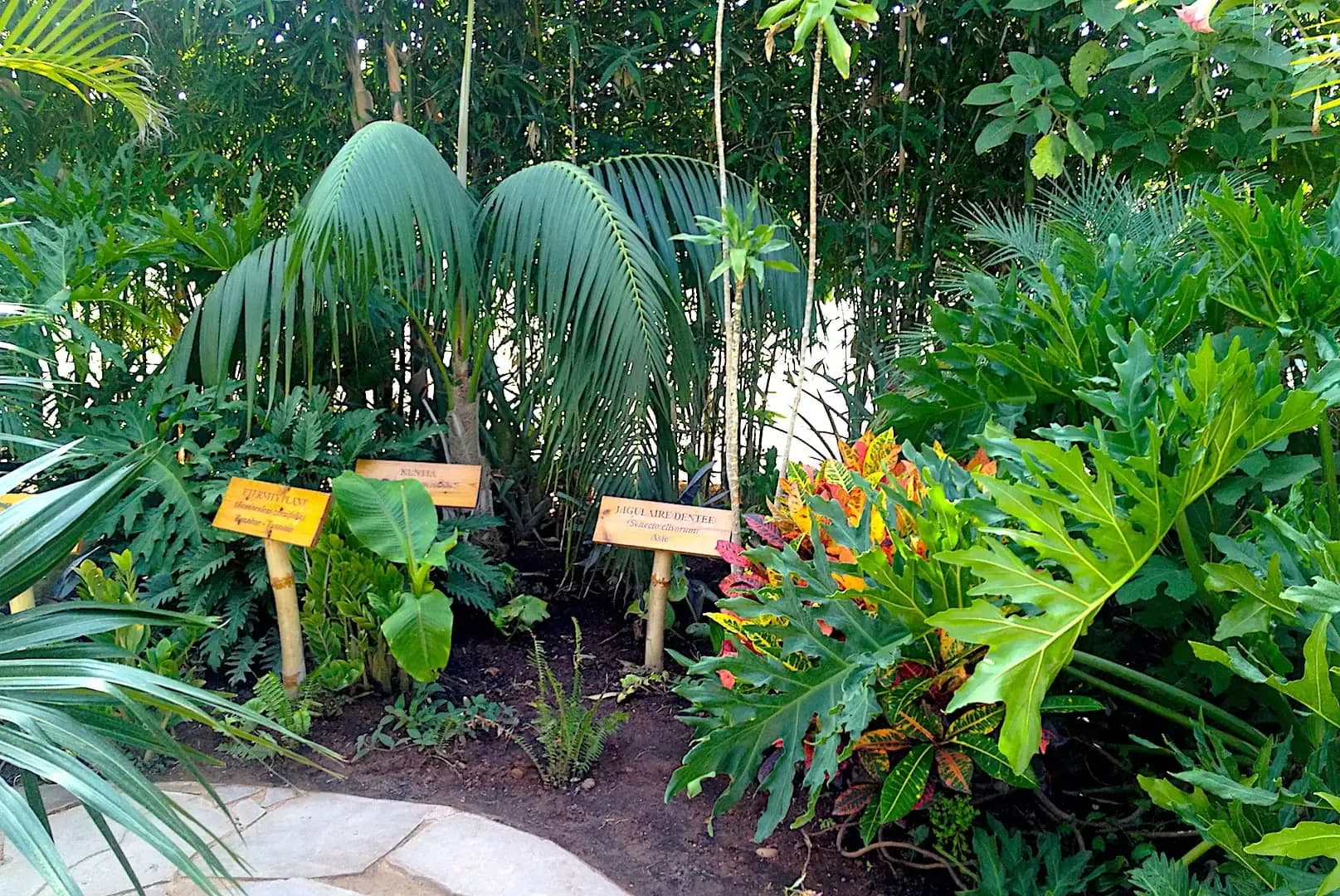 Crocoparc Agadir: Crocodile Park & Botanical Garden Tour thumbnail 2