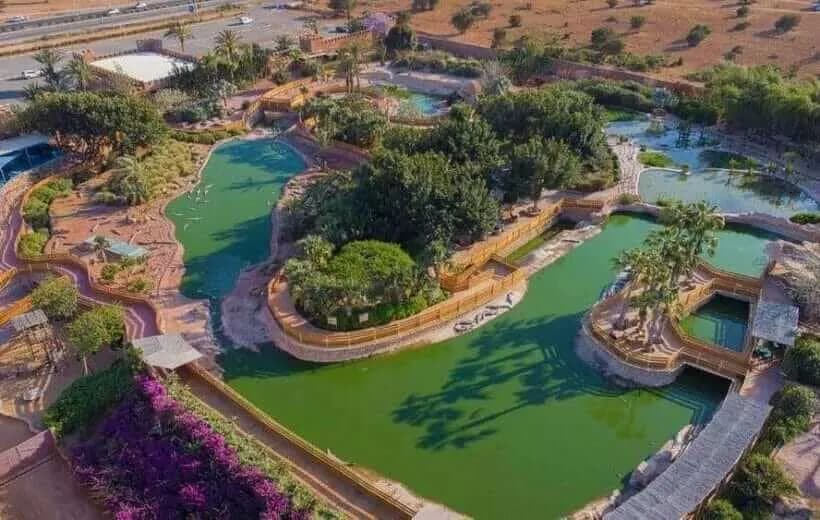 Crocoparc Agadir: Crocodile Park & Botanical Garden Tour thumbnail 4