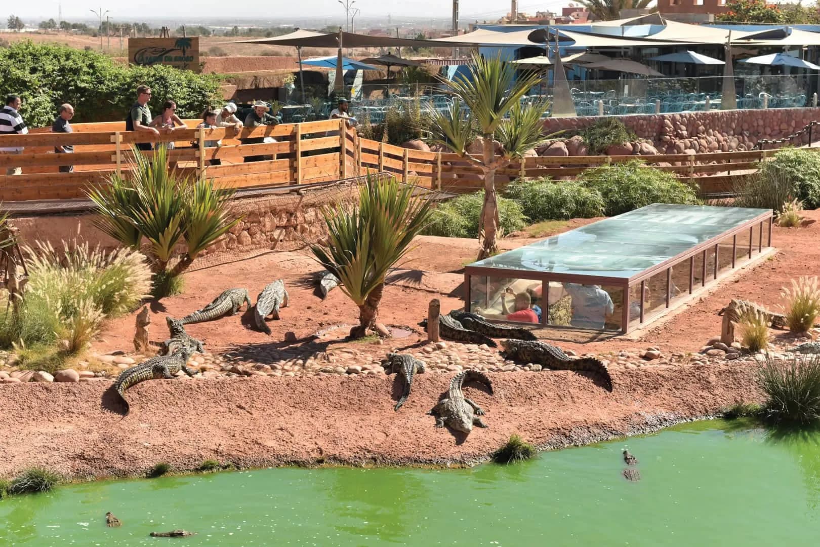 Crocoparc Agadir: Crocodile Park & Botanical Garden Tour thumbnail 6