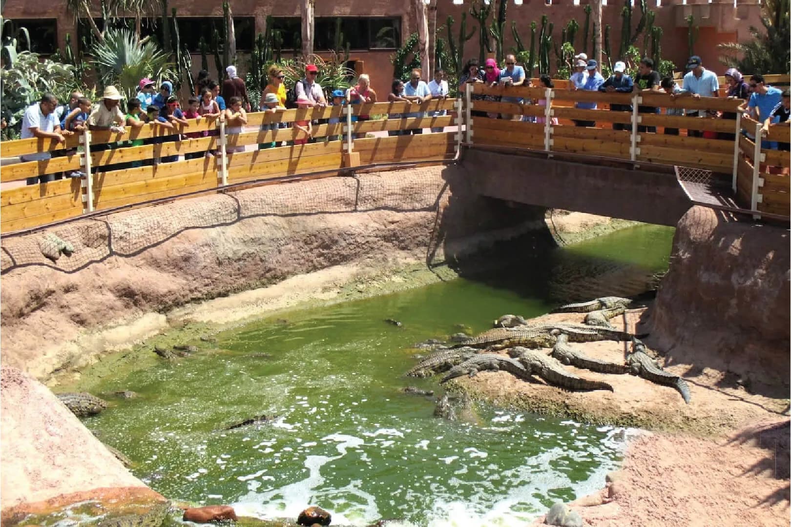 Crocoparc Agadir: Crocodile Park & Botanical Garden Tour thumbnail 7