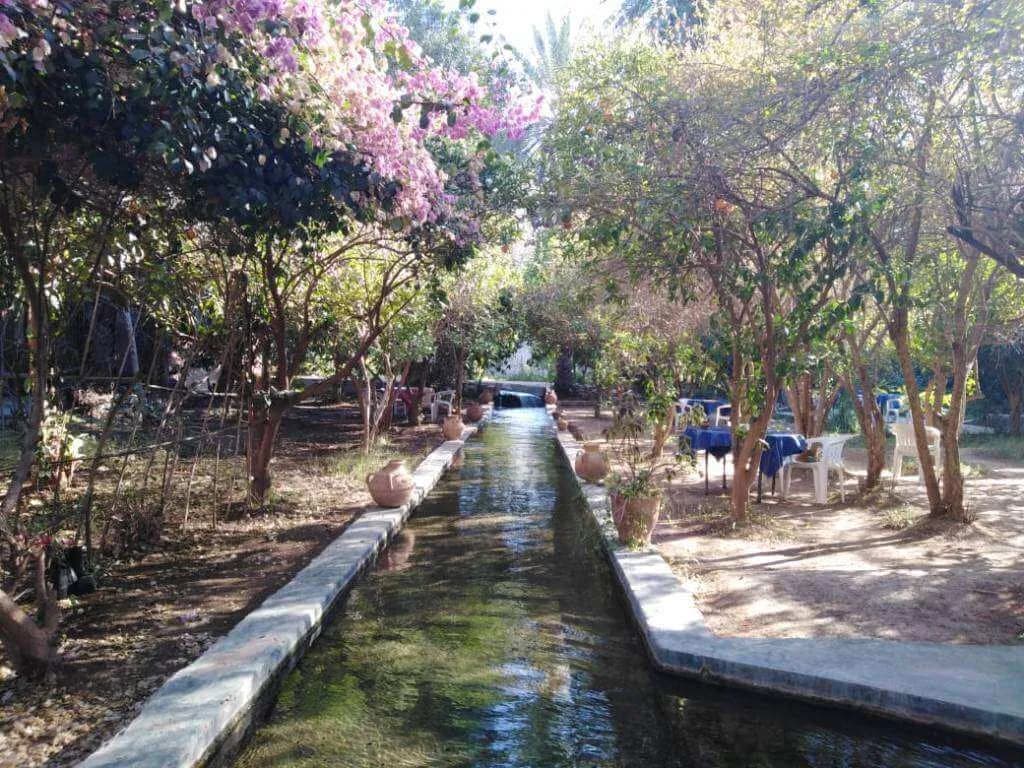 Taroudant & Tiout Day Trip: 'Mini Marrakech' & Palm Oasis thumbnail 2