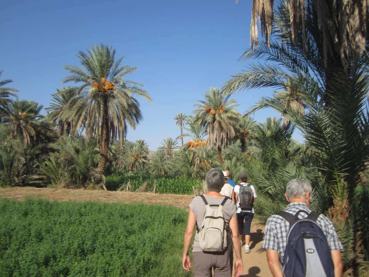 Taroudant & Tiout Day Trip: 'Mini Marrakech' & Palm Oasis