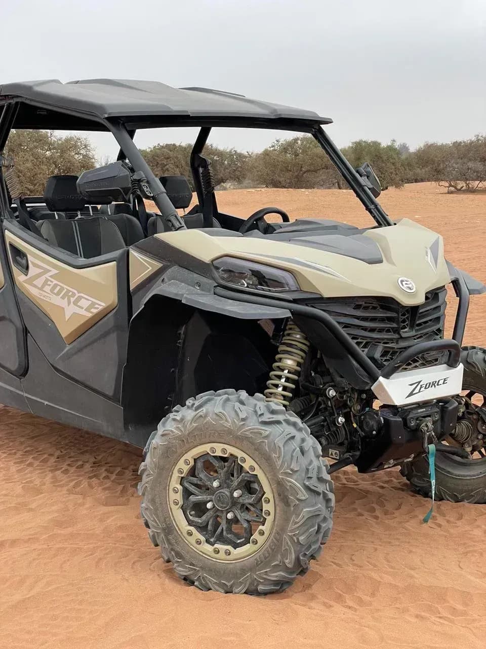 4-Seater Family Buggy Safari thumbnail 6