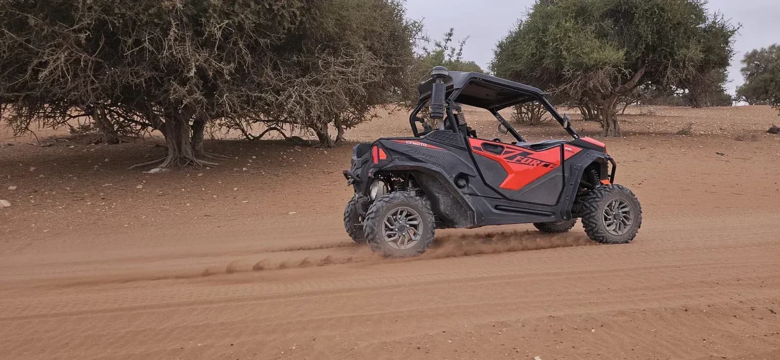 Full-Day Buggy Expedition & Authentic Lunch thumbnail 3