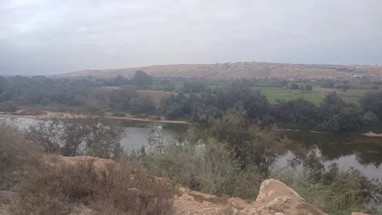 Full-Day Buggy Expedition & Authentic Lunch thumbnail 6