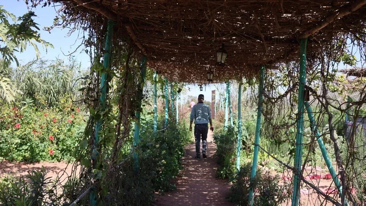 Half-Day Dune Buggy Adventure thumbnail 1