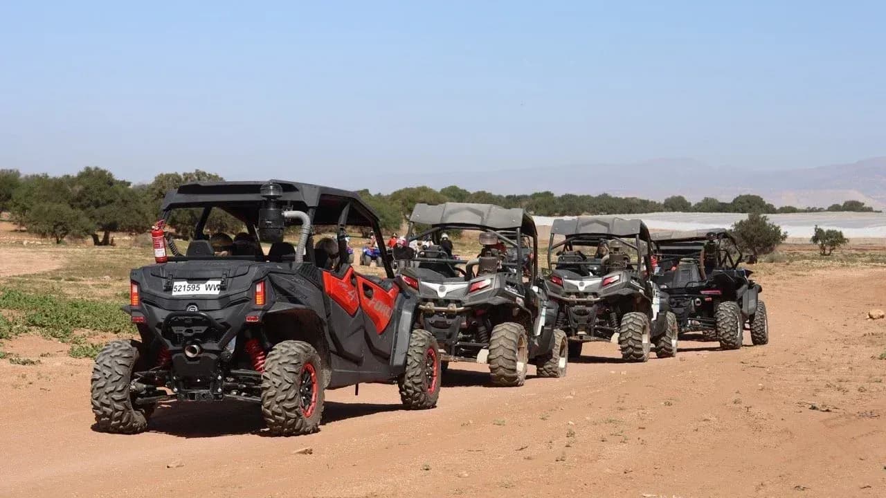 Half-Day Dune Buggy Adventure thumbnail 9