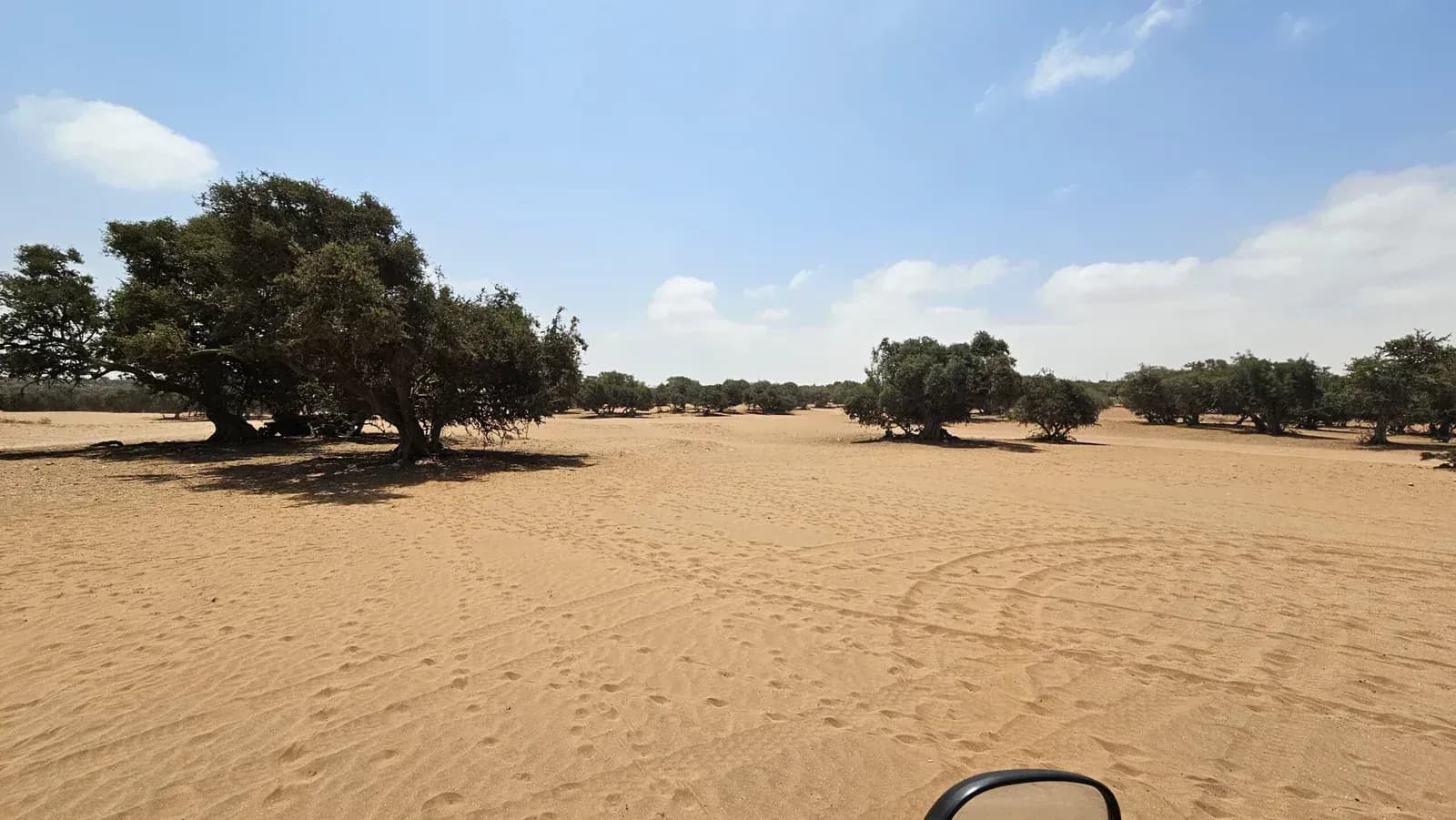 Self-Drive Buggy Adventure thumbnail 4