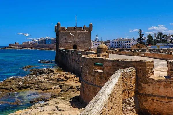 Essaouira Full-Day Trip – UNESCO Medina & Argan Coast Tour thumbnail 4