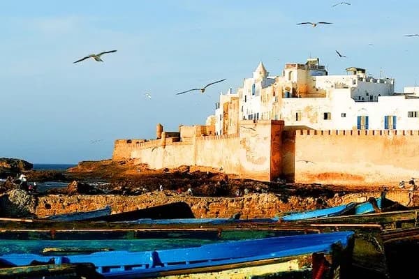 Essaouira Full-Day Trip – UNESCO Medina & Argan Coast Tour thumbnail 9