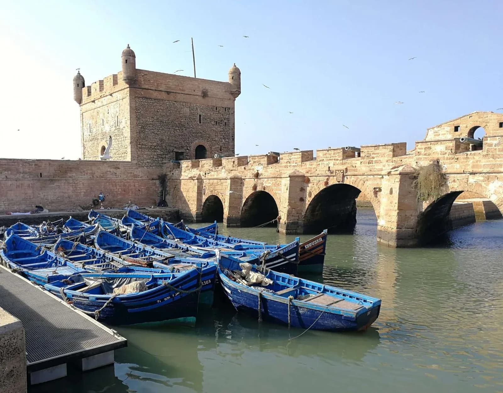 Essaouira Full-Day Trip – UNESCO Medina & Argan Coast Tour thumbnail 10