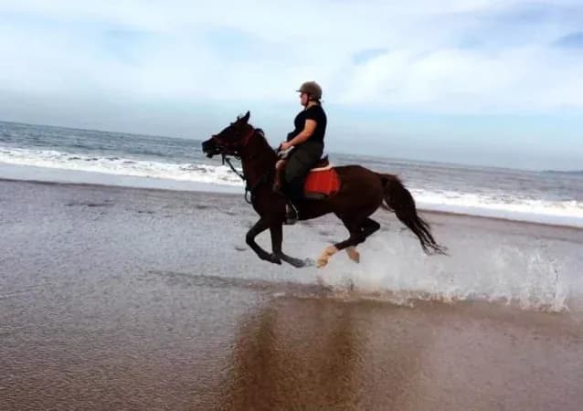Horse Riding in Agadir & Taghazout – Sunset Beach Experience thumbnail 1