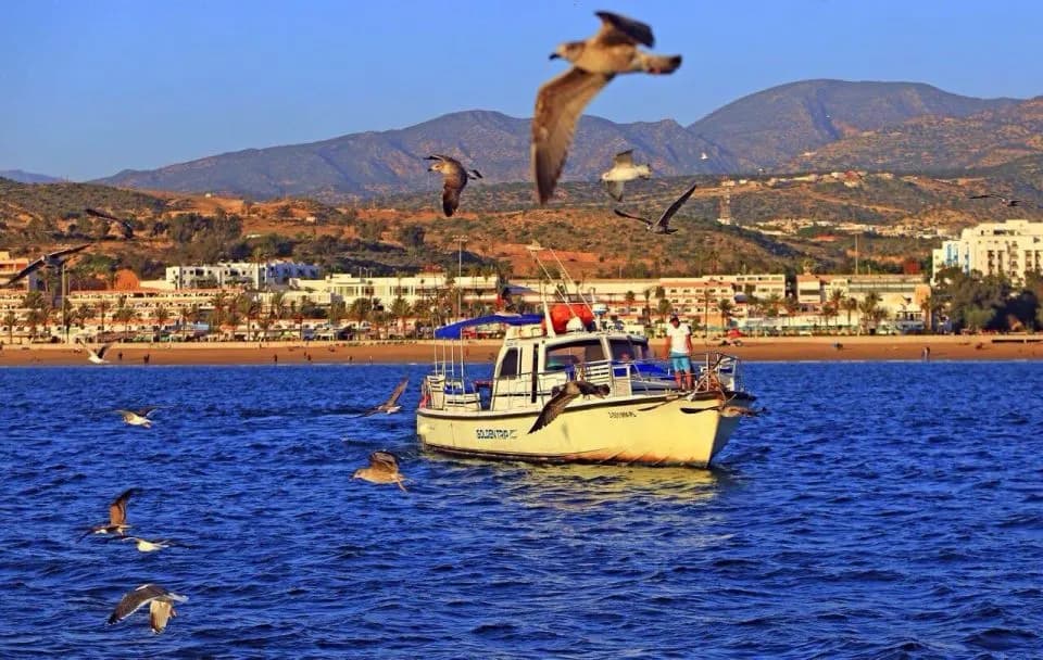 Agadir Boat Trip – Half-Day Ocean Cruise with Lunch & Fishing thumbnail 5