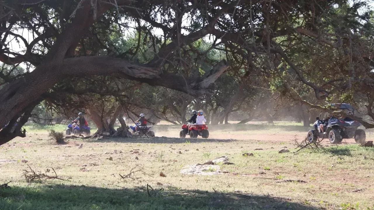 Half-Day Beach & Dune Quad Ride thumbnail 3