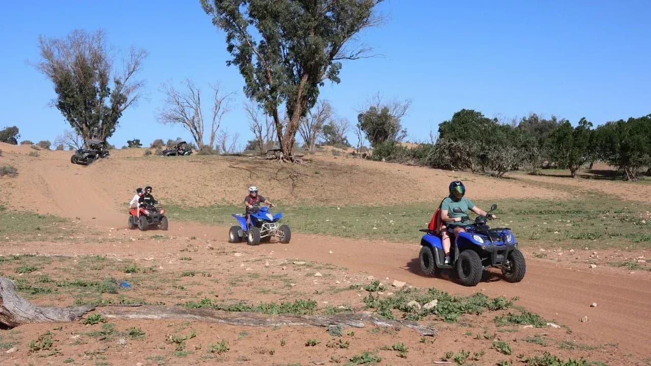 Half-Day Beach & Dune Quad Ride thumbnail 6