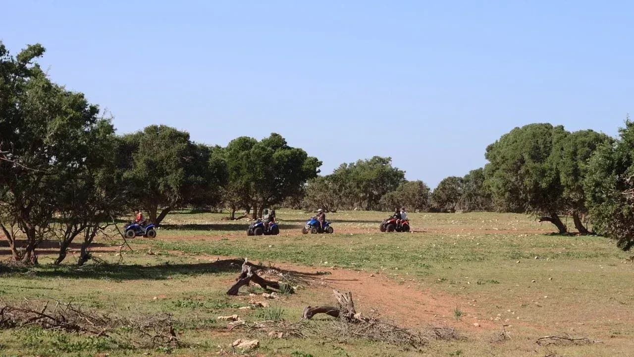 Half-Day Beach & Dune Quad Ride thumbnail 8